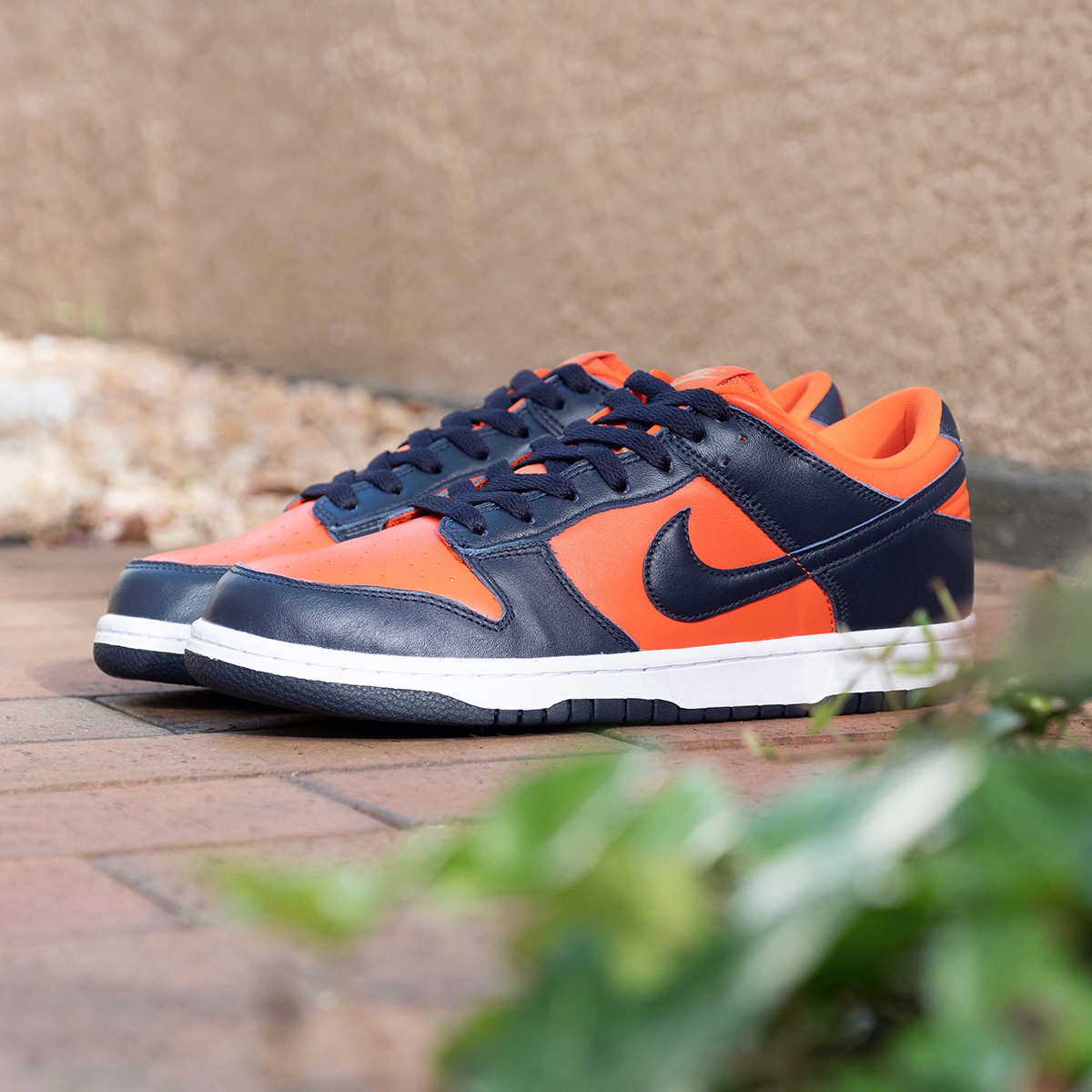 NIKE DUNK LOW SP “CHAMP COLORS” | 特集ページ Features | mita sneakers